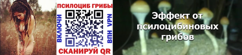Галлюциногенные грибы Cubensis  Купить где  Асино 